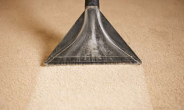 Carpets/Area Rug Cleaning